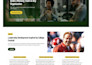 build wordpress website, custom wordpress website, business website development